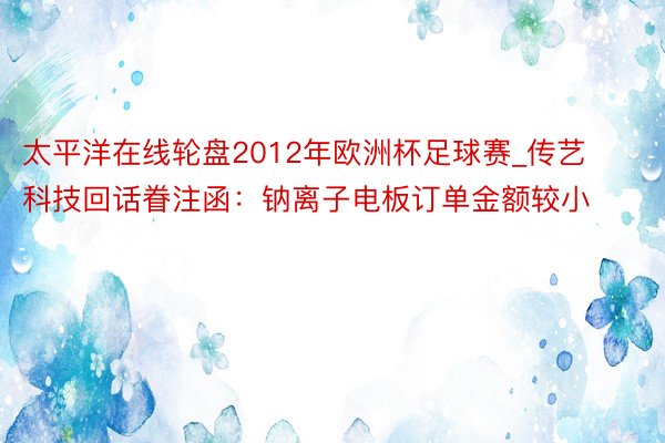 太平洋在线轮盘2012年欧洲杯足球赛_传艺科技回话眷注函：钠离子电板订单金额较小