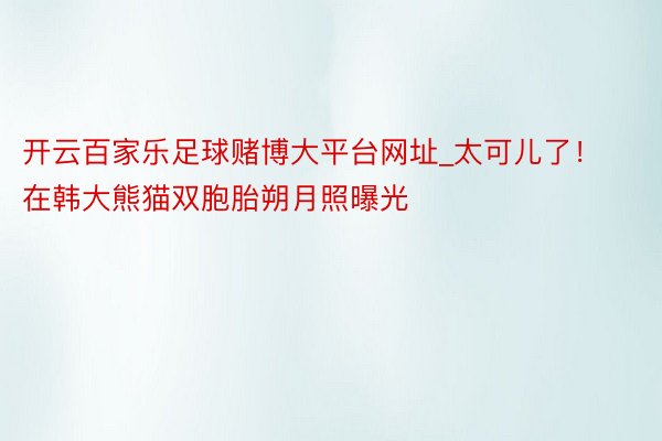 开云百家乐足球赌博大平台网址_太可儿了！在韩大熊猫双胞胎朔月照曝光