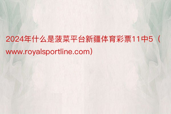 2024年什么是菠菜平台新疆体育彩票11中5（www.royalsportline.com）